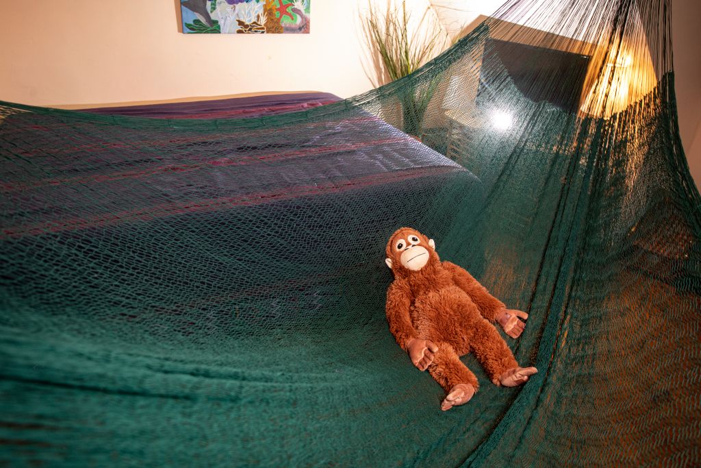 dunkelgrüne Hängematte in Größe Mexi 3 ausgebreitet im Wohnraum