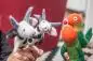 Mobile Preview: Spielen mit Fingerpüppchen Kuh und Papagei
