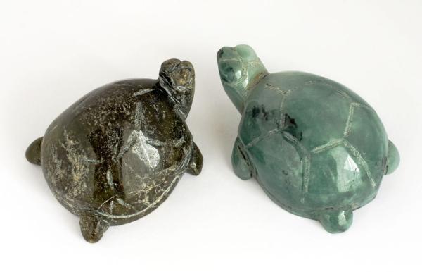 Schildkröten aus Jade, Aufsicht
