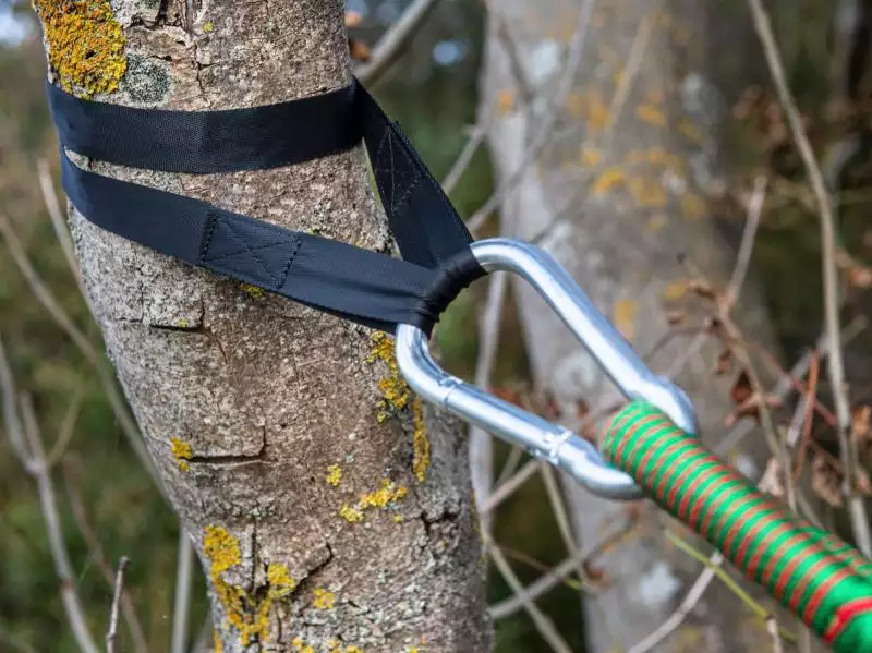 Tree Hugger am Baum im Einsatz Tree Hugger am Baum im Einsatz